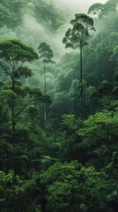 Dense forest with towering trees and lush foliage in a serene natural landscape