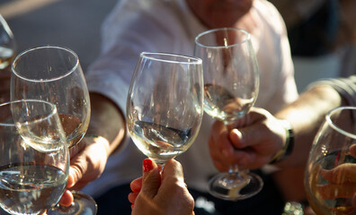 A group of people toast with crystal glasses with albariño wine, white wine