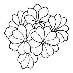 Vibrant Cluster of Geranium Flowers Vector Illustration for Floral Design Enthusiasts
