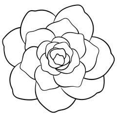 Exquisite Camellia Flower in Full Bloom Vector Illustration Showcasing Layered Petals
