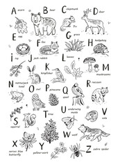 Animals alphabet set. Vector line illustration with forest animals. English alphabet.