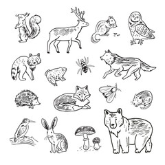 Obraz premium Set of forest animals. Hand drawn vector illustration in sketch style.