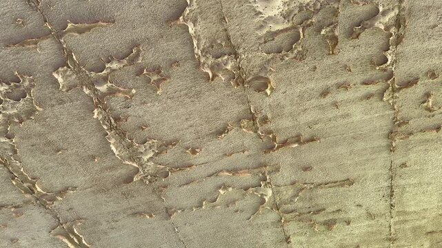 Concrete surface with beige peeling paint shows signs of long-term weathering, revealing cracks and worn areas. Palm leaves add natural contrast to the decaying ceiling, reflecting neglect and decay.