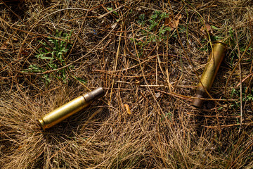 Brass case of damaged ammunition from a fired military firearm, weapon element in dry grass in the...