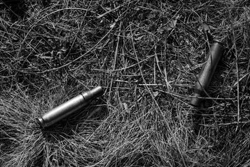 Brass case of damaged ammunition from a fired military firearm, weapon element in dry grass in the...