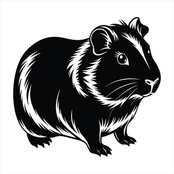 black guinea pig animal portrait clip art preview