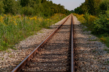Fototapeta premium Old disused railway tracks running through the forest.