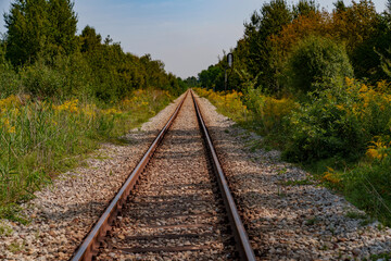 Old disused railway tracks running through the forest.