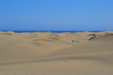 The Maspalomas Dunes (spanish: Dunas de Maspalomas). Sand dunes located on the south coast of the island of Gran Canaria, Spain