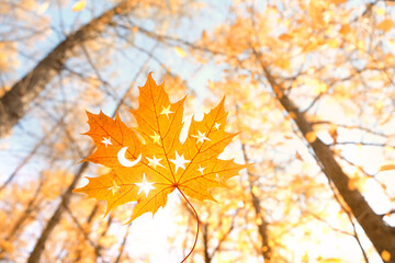 autumn fairy tale background. yellow maple leaf with pattern in shape of moon and stars outdoor, abstract natural sunny forest backdrop. golden fall season. autumn equinox.