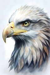 Obraz premium Majestic Eagle Gliding Through Clear Blue Sky Captivating Eyes Powerful Beak Stunning Feathers