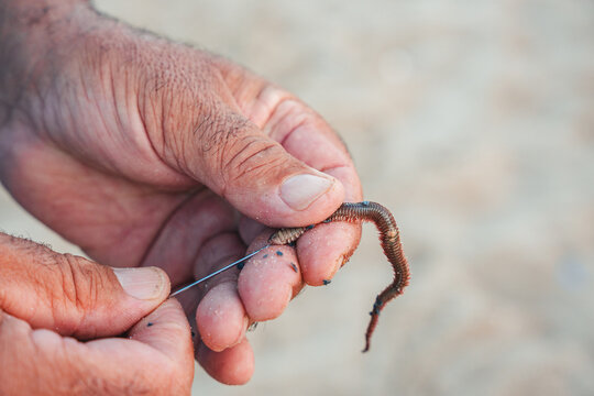 Close-up of weathered hands baiting hook in Valencia