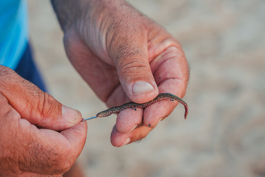 Elderly fisherman in Valencia threading a worm on a hook