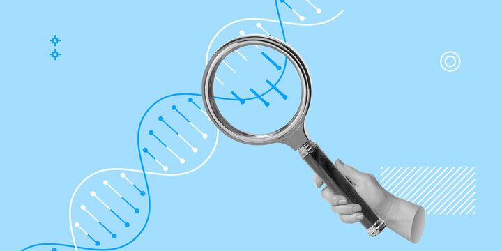 DNA, Genome sequencing, scientific research, genetics, and analysis. Hand holds magnifying glass focused on DNA strand against blue background. Minimalist art collage