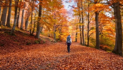 Fototapeta premium A hiker enjoys a tranquil autumn walk along a leaf-strewn path in a vibrant forest landscape. Generative AI