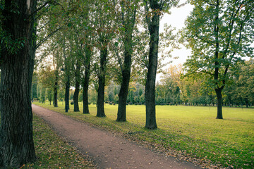 Obraz premium Walking path in the park at sunset in autumn.