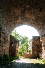 Obraz premium Enchanted Ruins: A Glimpse into Nature's Embrace Beneath an Archway