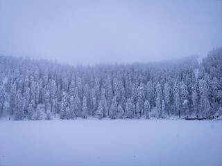 Mummelsee, Schwarzwald, Deutschland