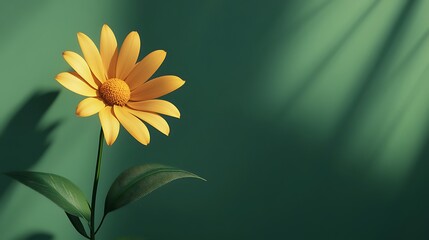 Radiant Yellow Flower Framed by Lush Green Foliage Surrounding photo