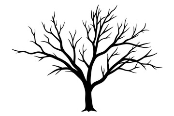 Hand drawn tree branches collection, dry tree branches on white background