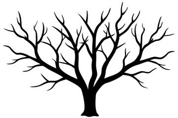 Hand drawn tree branches collection, dry tree branches on white background