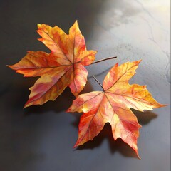 Fototapeta premium Autumn leaves.