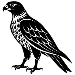 eagle isolated on white background