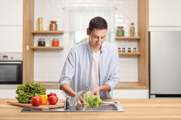 Young man washing lettuce salad in a kitchen sink