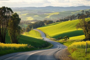 Serene winding road through lush green hills and fields under a cloudy sky.