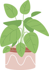 Prayer plant color icon. Green home flora