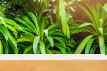 Obraz premium Empty wooden table top with blurred green leaves background.