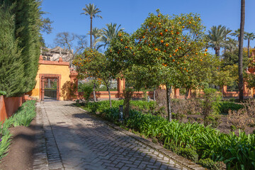 Fototapeta premium Palastgarten, Sevilla
