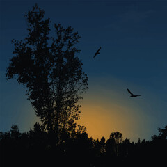 Beautiful landscape with tree in the blue sunset