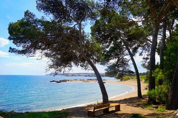 bench under pine trees at a viewpoint over the Mediterranean beach and wonderful view towards l'Escala, Costa Brava, Catalonia, Girona, Figueres, Spain