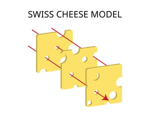 Swiss Cheese Model of accident causation is a model used in risk analysis and risk management