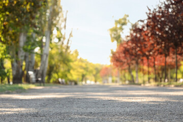 Obraz premium Blurred view of autumn park with trees and pathway