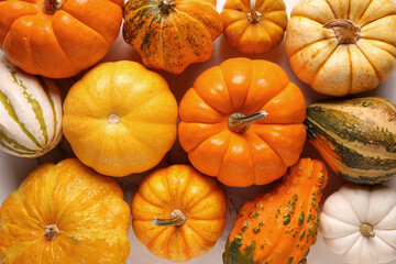 Many fresh pumpkins on white background