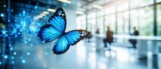 Illustration of the process of digital transformation with the symbol of a butterfly © Christian Müller