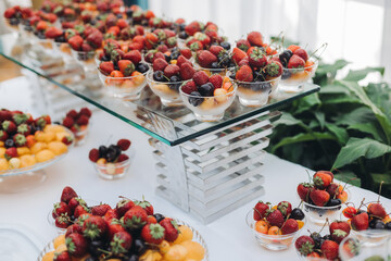Beautifully decorated banquet catering table, assortment variety of berries with cherry, strawberry, raspberry and apricot, on luxury birthday party event or wedding reception celebration