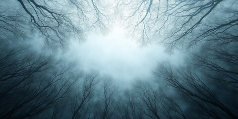 Obraz premium scenes of a Scandinavian winter forest. 