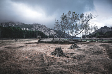 Forêt de L'Ospedale - Furesta di U Spidali, Porto-Vecchio, Corsica, France, wasteland, tree, sand, dull, bleak, dreary, barren, mouintains, lake, panorama