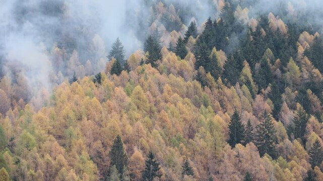 Autumn colors on the Orobie Alps