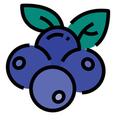 Blueberry Fruit Icon