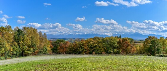 Fototapeta premium 美瑛の丘で見た青空バックの十勝連峰とカラフルな紅葉のパノラマ情景