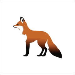 fox in the woods,animal, dog, cartoon, vector, illustration, fox