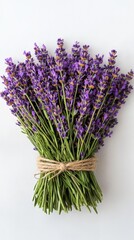 Fresh Lavender Bouquet Tied with Twine on White Background