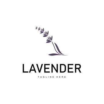 Lavender logo simple design vector cosmetic plant purple color and aromatherapy lavender flower garden template