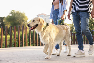 Couple walking with cute Golden Retriever dog outdoors, closeup. Space for text