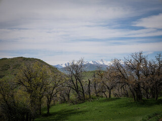 View of snow capped Wasatch Mountain Range in Spanish Fork Canyon in Uinta National Forest near Provo Utah