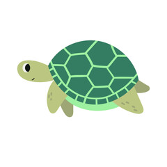 Turtle cartoon flat illustration